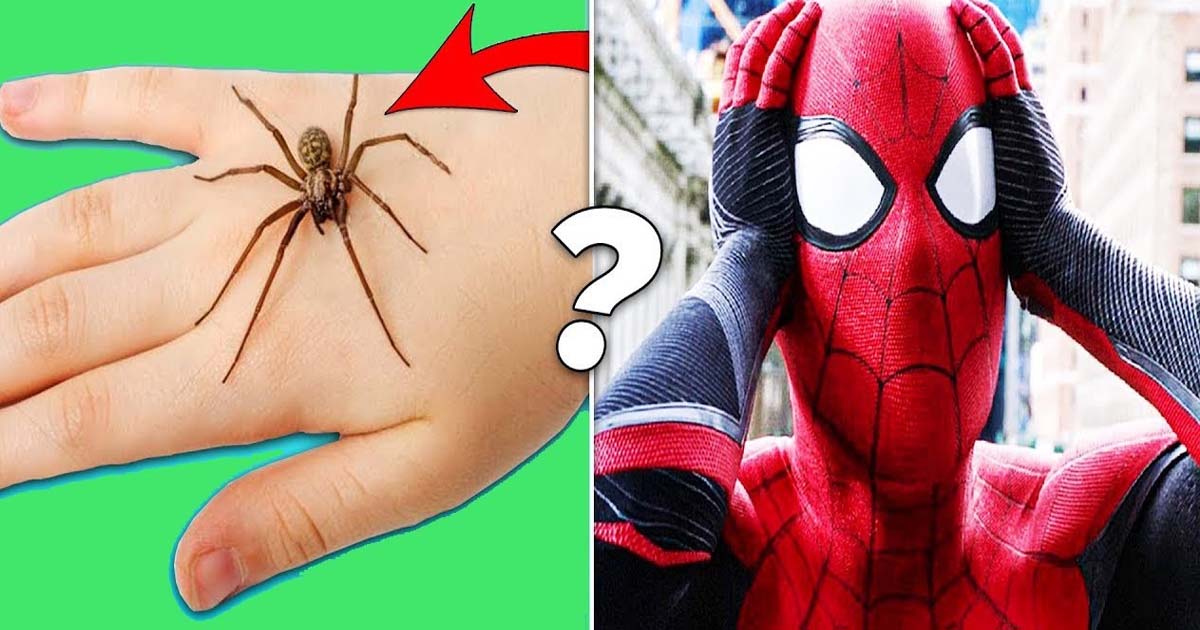 Can a spider bite you to become a spider man,