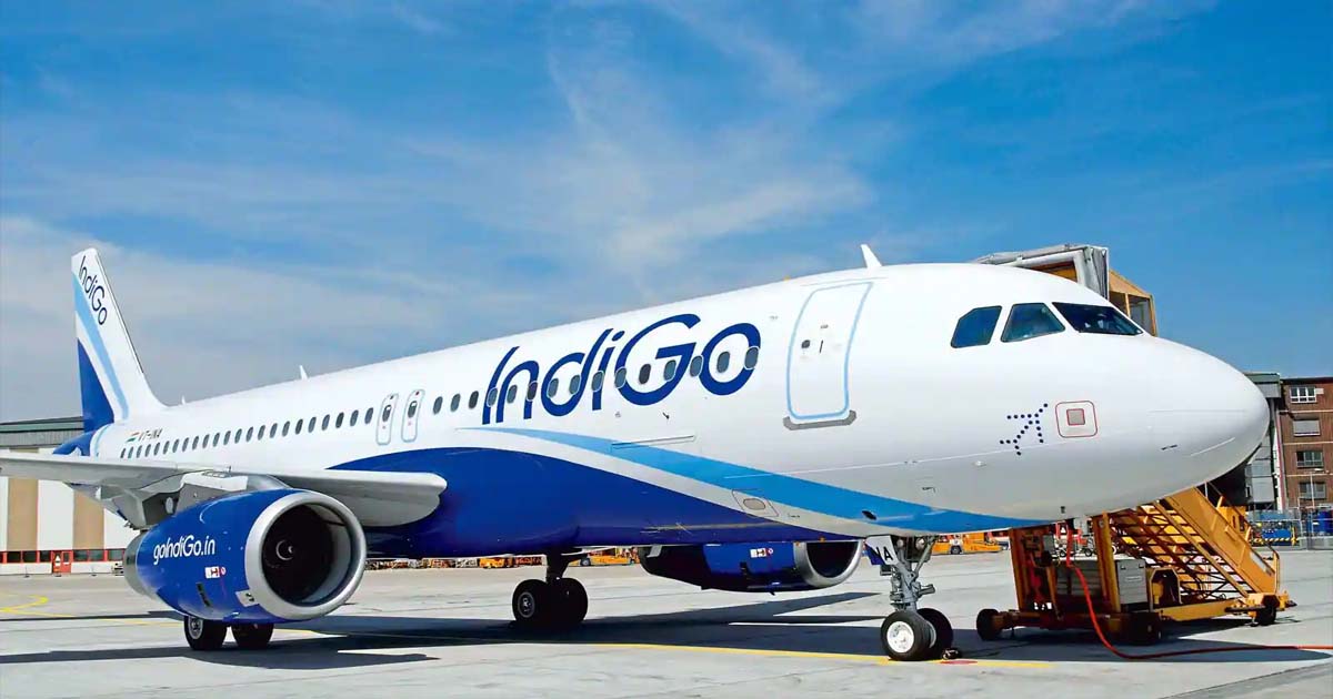 Indigo flight