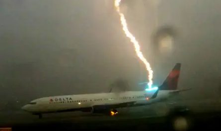 Delta Airline