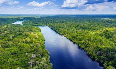 Amazon River