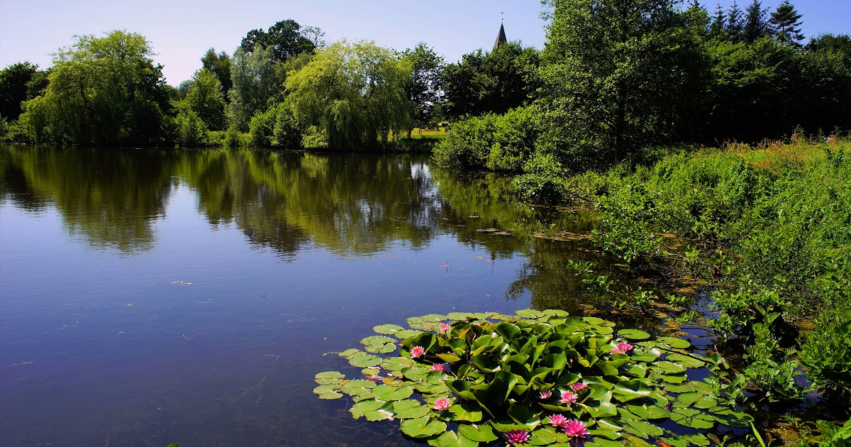 Lake of No Return