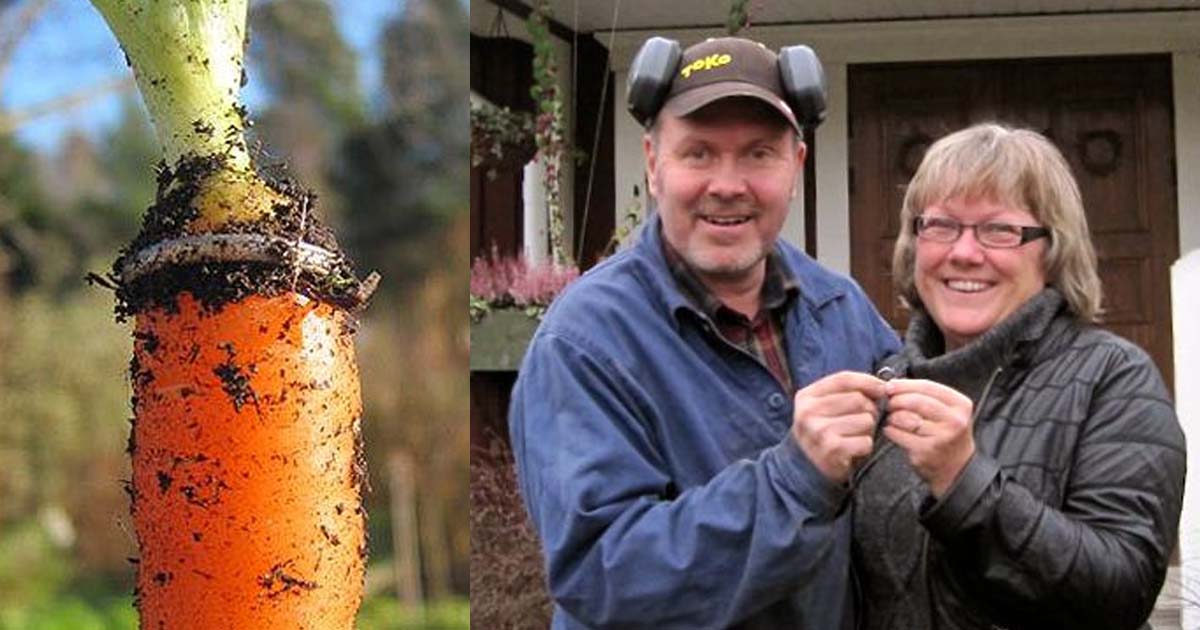 Woman finds long-lost diamond ring on carrot