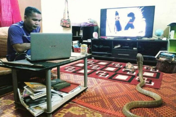 This guy married a snake. Living like a couple.