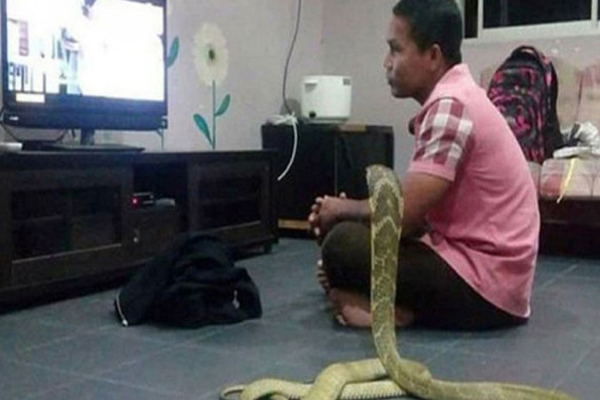 This guy married a snake. Living like a couple.