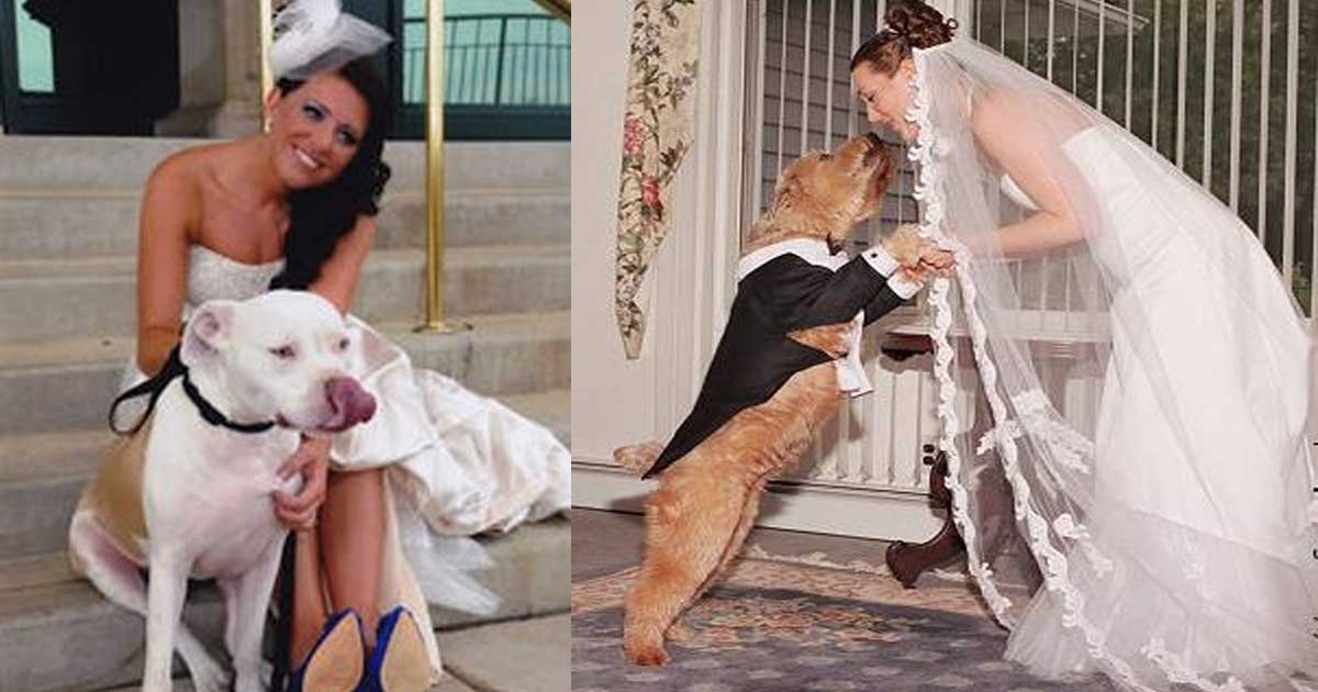 This woman married a dog