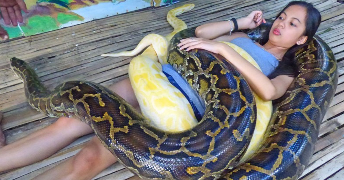 Snake Massage