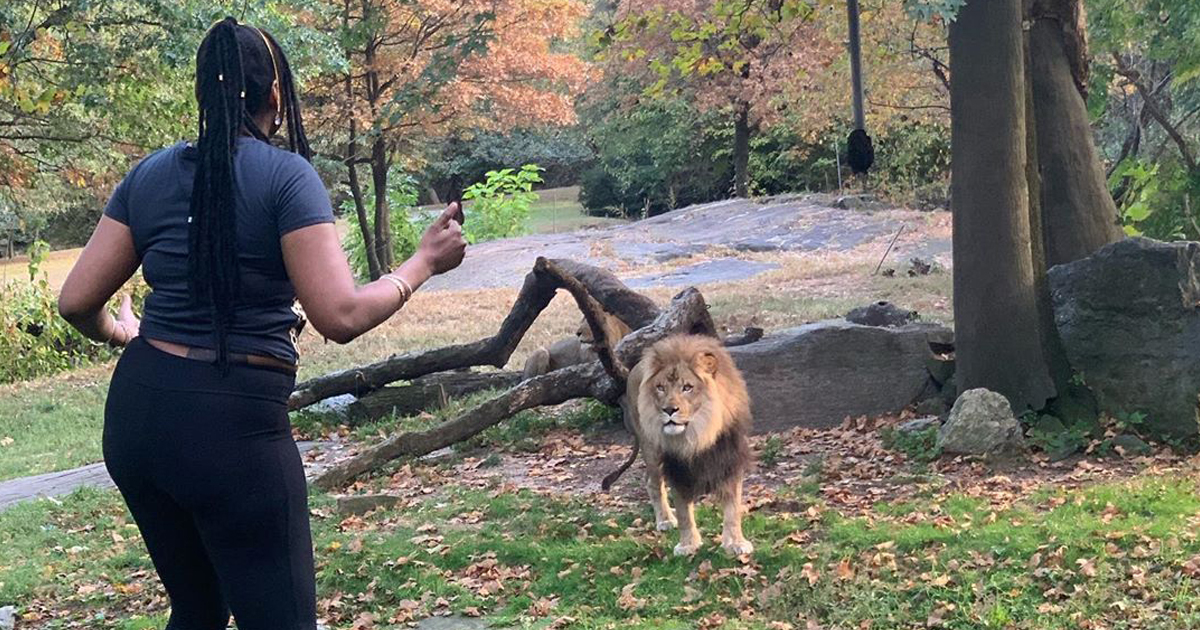 Woman Who Climbed Into Lion