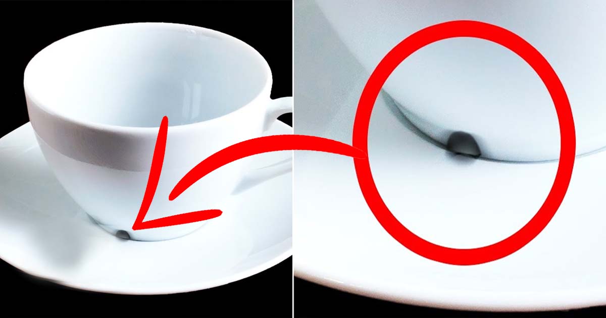 Cup and Saucer