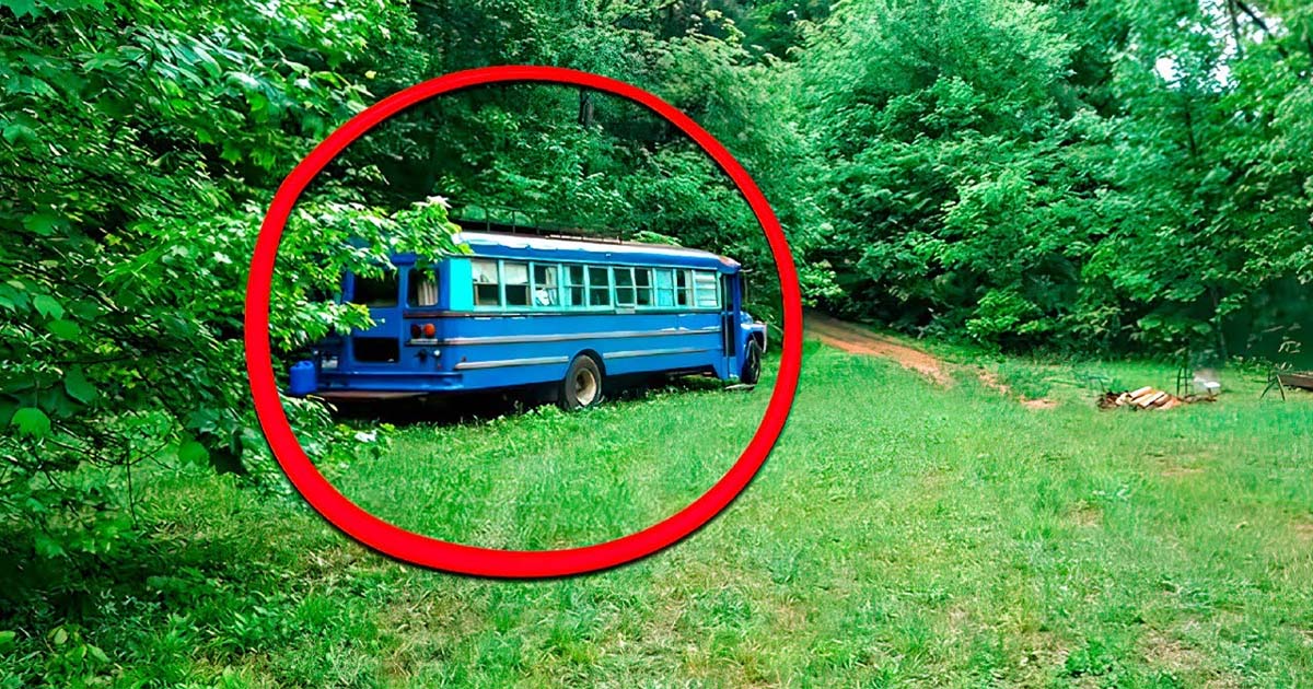 View of father and son inside an old bus found in the woods.