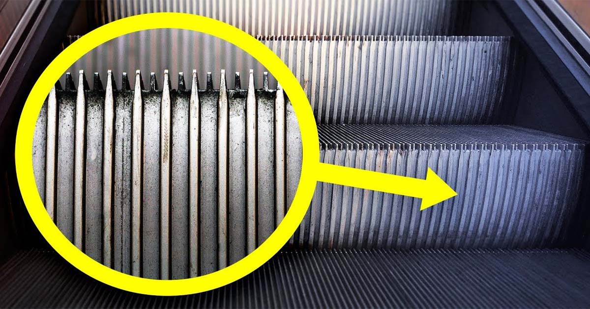 Escalator Brush