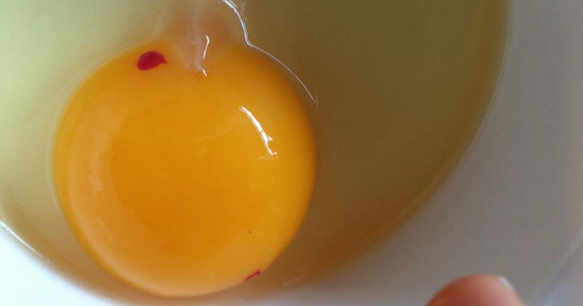 Red dot on egg