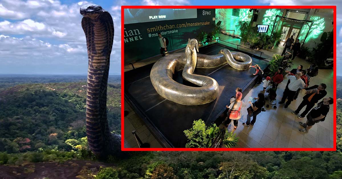 Titanoboa