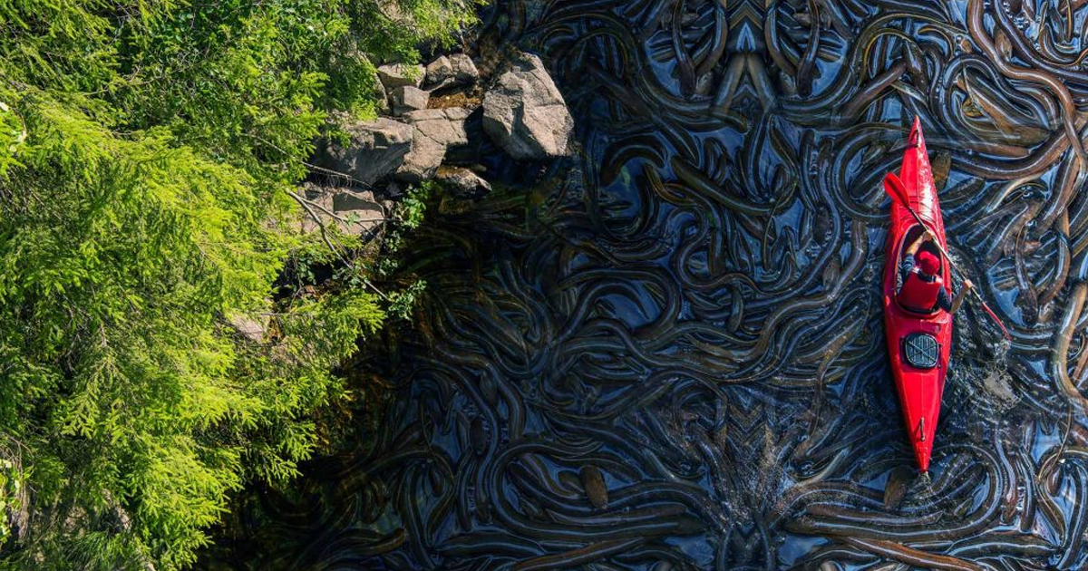 Humans are afraid to go inside one of the most dangerous lakes in the world