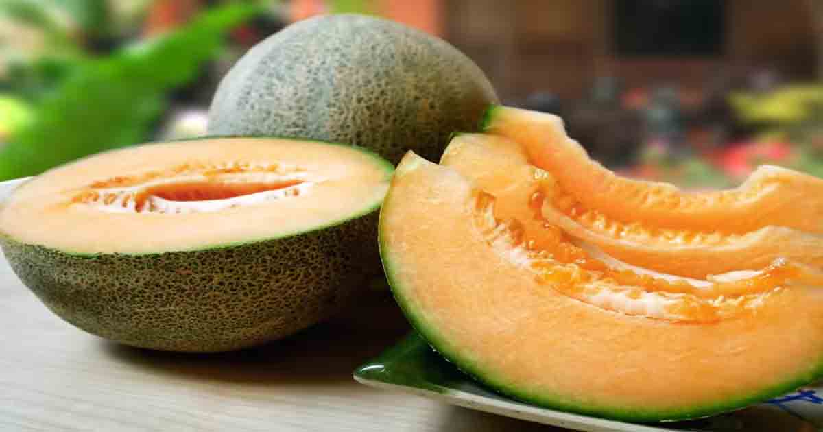 Yubri Melon