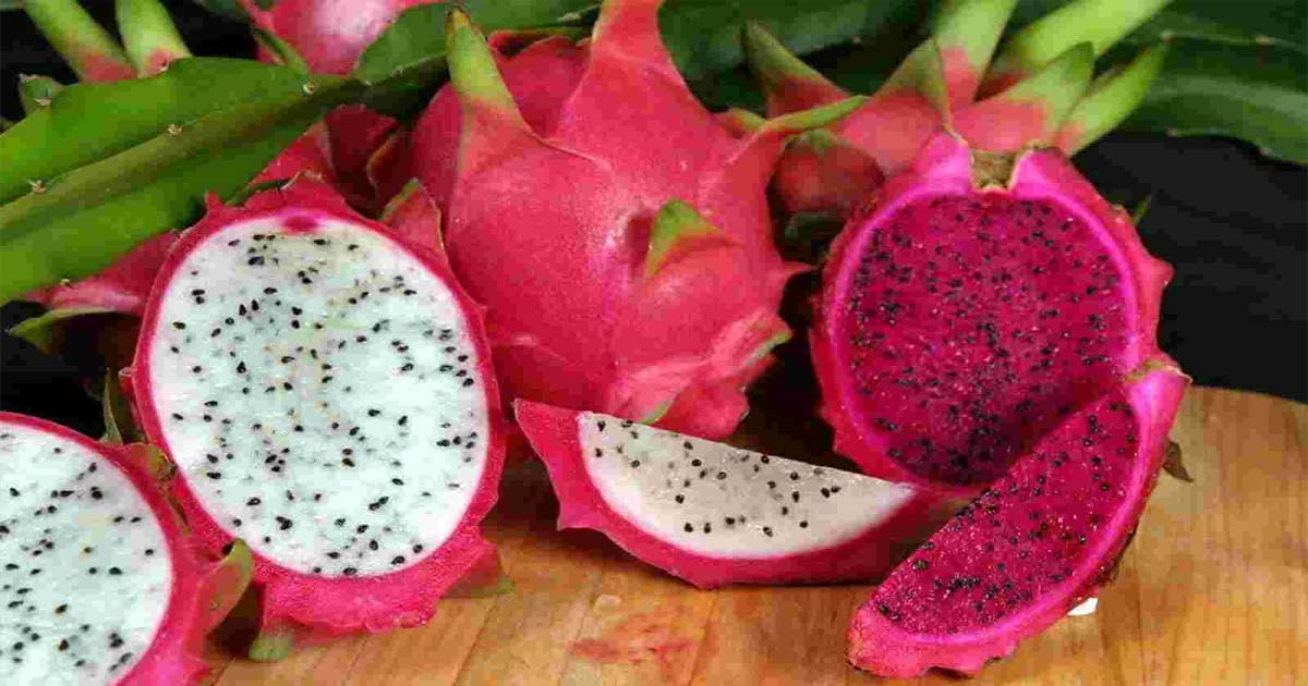 Dragon Fruit