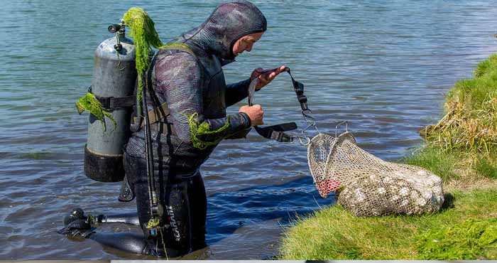 Golf Ball Diver