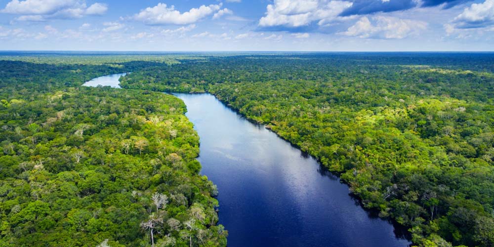 Amazon River