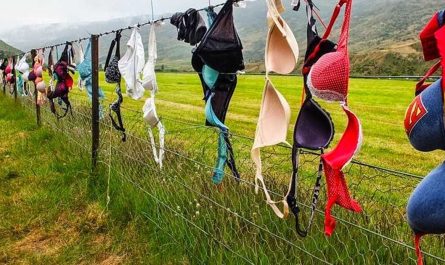 Cardrona Bra Fence