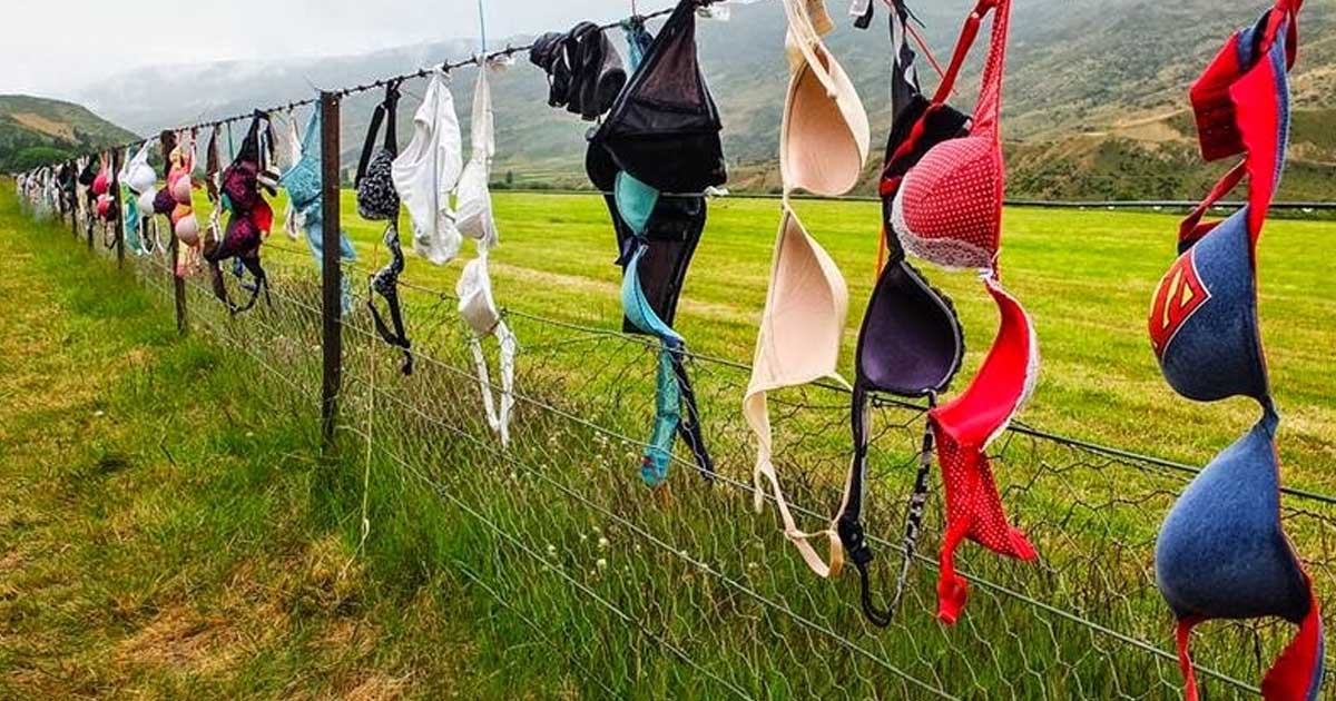 Cardrona Bra Fence