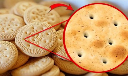 Why Holes in Biscuits A Study of Purpose and Function