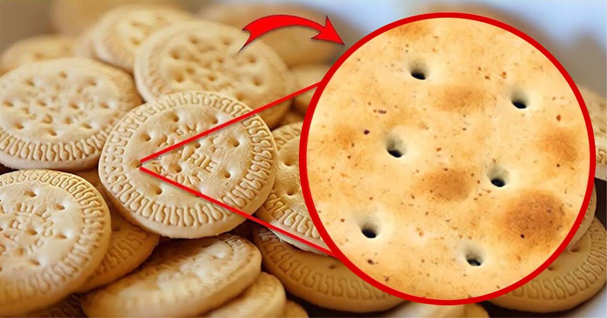 Why Holes in Biscuits A Study of Purpose and Function