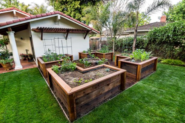 Garden Ideas