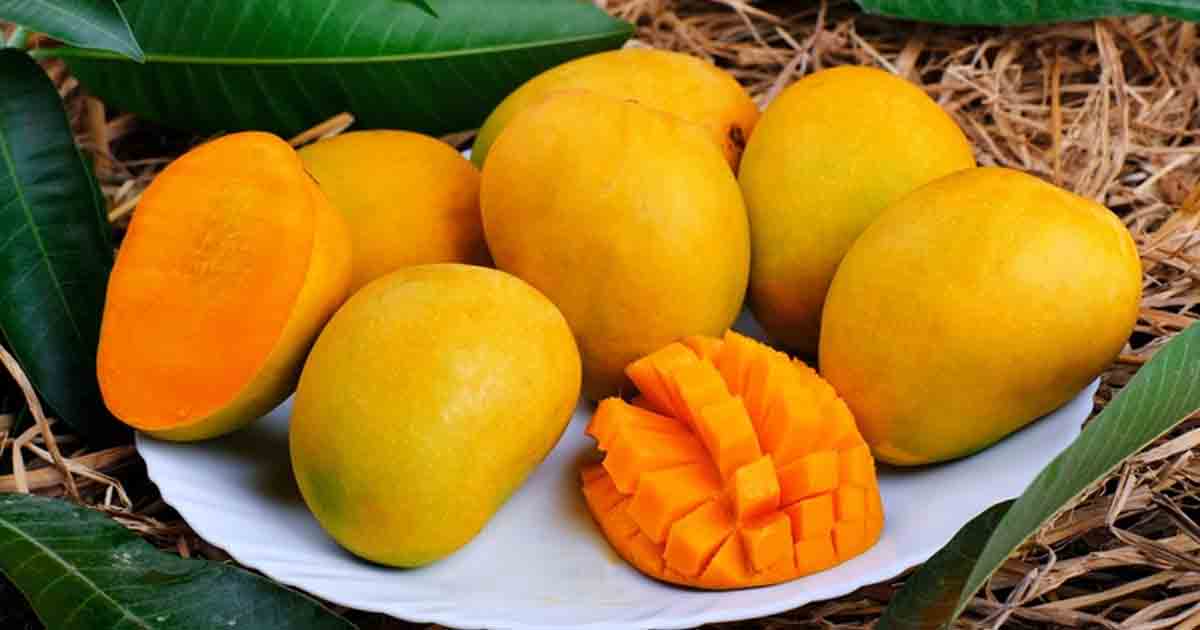 Mango