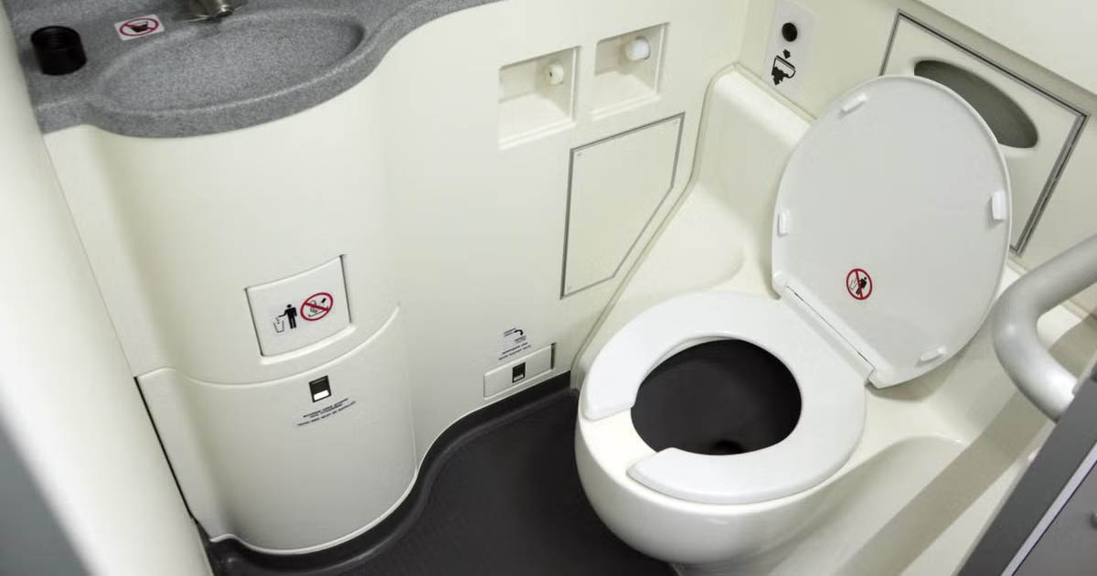 Toilet in Flight