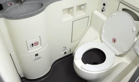 Toilet in Flight
